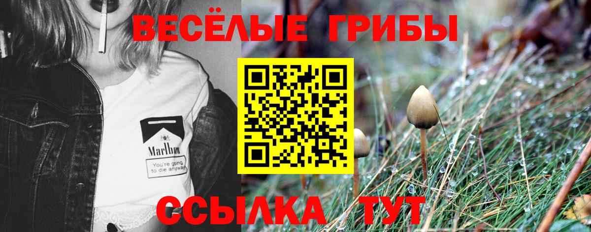 Сердобск  Псилоцибиновые грибы Psilocybine cubensis  наркошоп  Вход с VPN  Псилоцибиновые грибы прущие грибы 
