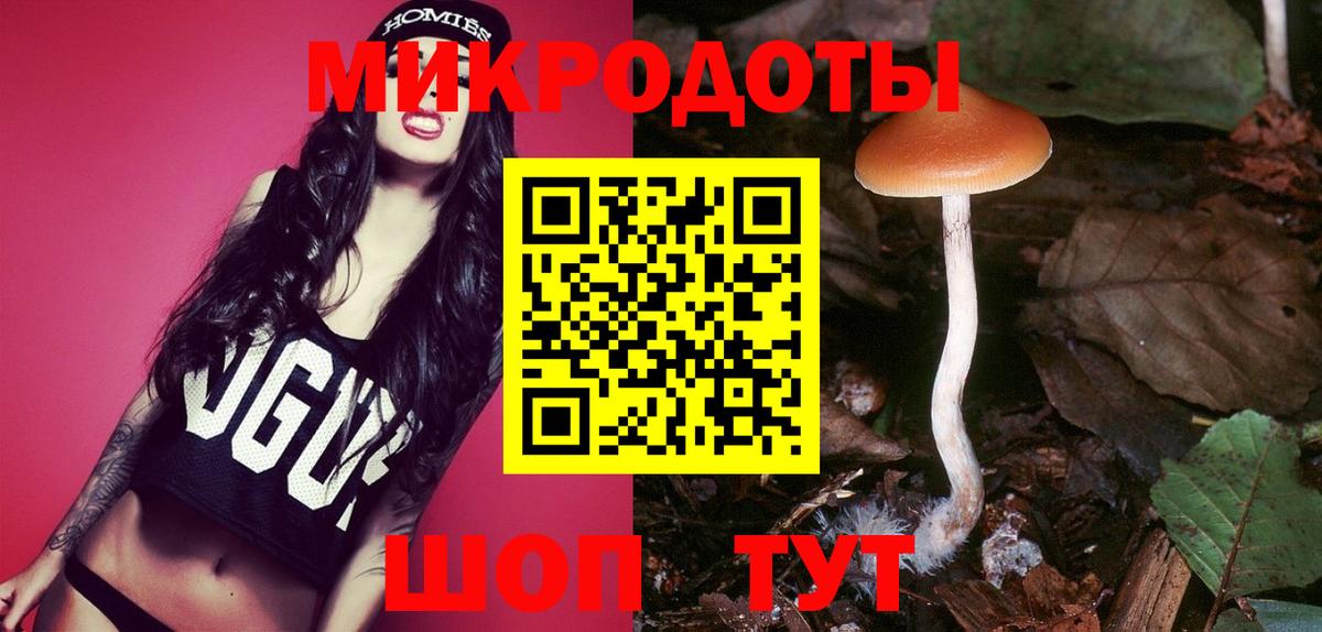 Псилоцибиновые грибы мицелий Сердобск